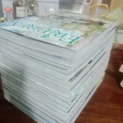 Frieren Full 12 tập 997461