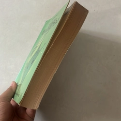 Miền thương nhớ - Sỹ Hồng - 1997s 527524