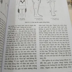 NHỮNG BÀN TAY ÁNH SÁNG - LÊ HÀ LỘC, NGUYỄN ĐÌNH PHƯ biên dịch 738262