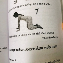LIỆU PHÁP ĐẸP & KHOẺ ĐẾN TỪ YOGA 460447