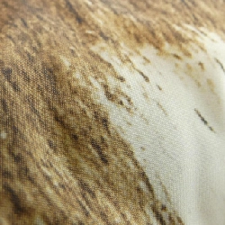 Áo khoác lông vũ MONCLER 642622