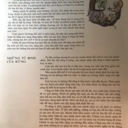 Con người trở thành khổng lồ 711636