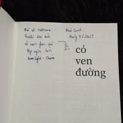 Cỏ ven đường 999175