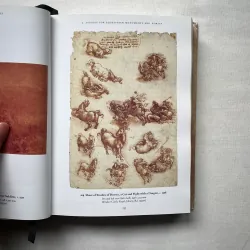 Leonardo Da Vinci 1028940