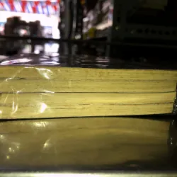 Dưới ánh trăng bạc - Ko Ya Seong 973729