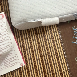 Bách Khoa Phụ Nữ Mang Thai  533392