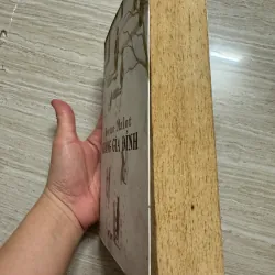 Sách Không Gia Đình 753722