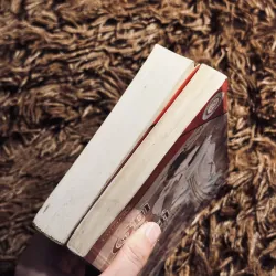 Combo Nỗi Lòng + Gối đầu lên cỏ 1020763