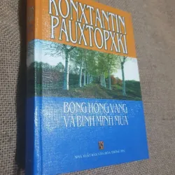 Bông Hồng vàng & Bình minh mưa 