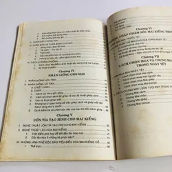 KỸ THUẬT TRỒNG MAI  595082