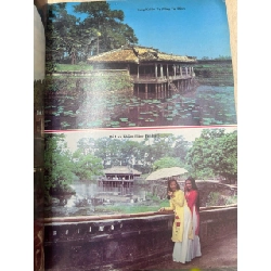 Huế ngàn năm vạn vật 753331