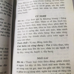 CÂY - RAU QUẢ - CỦ PHÒNG TRỊ BỆNH TIỂU ĐƯỜNG & TIM MẠCH  455907