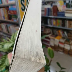 KHÔNG GIA ĐÌNH - HECTOR MALOT (HUỲNH LÝ DỊCH) 1038399