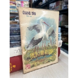 Những điều kỳ diệu của thiên nhiên - Giang Tân 747123