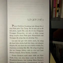 Cú nhảy - Thoát khỏi thói quen và nỗi sợ hãi - Pema Chodron  695623