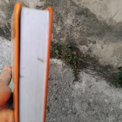 Kể chuyện nối thời gian - Lịch sử họ Ngô ở Việt Nam  1005731