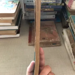 Nghĩa vụ và quyền lợi của nữ công nhân viên chức nhà nước 960295