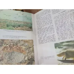 Encyclopédie de la vie sauvage