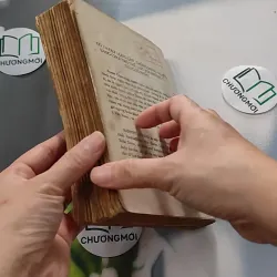 [XƯA] Còn Hơn Tội Lỗi (1991) - Barney Leason 776056