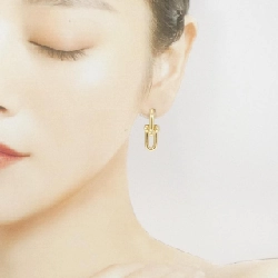 Bông tai liên kết trung bình Tiffany Hardware - Hàng hiệu Authentic 845610