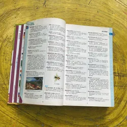 DICTIONNAIRE HACHETTE JUNIOR CE-CM 8-11 ANS 697410