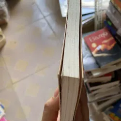 Có một phố vừa đi qua phố - Đinh Vũ Hoàng Nguyên, Mới 80% (KimT) 1003934