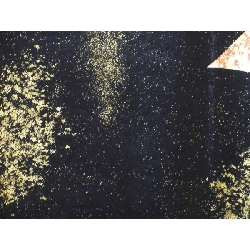 Đai obi Hori Shōhei - Hàng hiệu Authentic 875047