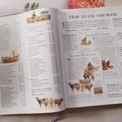 The Dorling Kindersley Illustrated Family Bible 934767