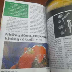 Tạp chí KIẾN THỨC NGÀY NAY số 1094 Chào năm mới 2021 734969