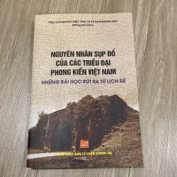 NGUYÊN NHÂN SỤP ĐỔ CỦA CÁC TRIỀU ĐẠI PHONG KIẾN VIỆT NAM