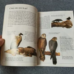 ĐẠI BÀNG - TỦ SÁCH KIẾN THỨC THẾ HỆ MỚI 720727