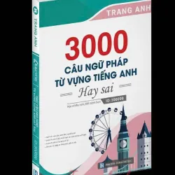 3000 câu Ngữ pháp và Từ vựng hay sai 795781