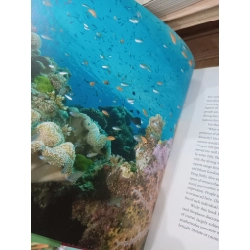 Fifty places to dive before you die - Chris Santella