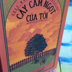 cây cam ngọt của tôi