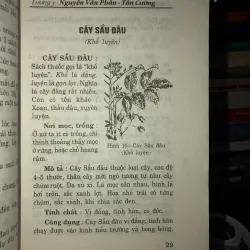 Những cây thuốc nam thông dụng dễ tìm và các bài thuốc gia truyền 781061