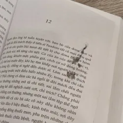 Dona Flor và hai người chồng - Jorge Amado (Kiệt tác của tượng đài văn học Braxin) 759502