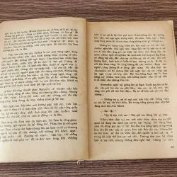 Tiểu thuyết NHỮNG CÁNH HOA LẠC LOÀI (nhà văn Danielle Steel) 947313