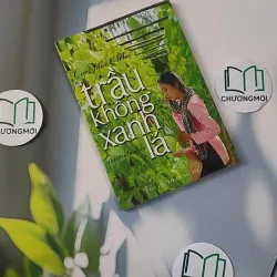 Trầu Không Xanh Lá - Cao Thanh Mai 798319