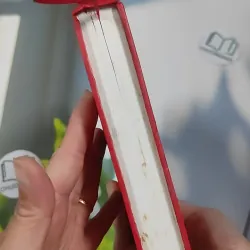 Chuyện Tình Vua Chúa Hoàng Tộc Việt Nam - Đinh Công Vĩ 990453