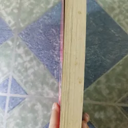 Trung Quốc năm 1989 ( hay Trung Hoa qua lời kể của 1 Phu nhân Đại xứ) - Nhiều tác giả 740694