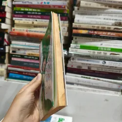 Bông Hồng Tò He 🌱 698114