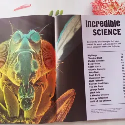 Discover the Extreme World 934756