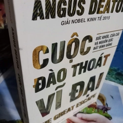 cuộc đào thoát vĩ đại
