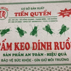 COMBO 50  Tấm Keo dính ruồi hàng loại 1.nhiều keo siêu dính,giao mẫu công ty ngẫu nhiên 186256