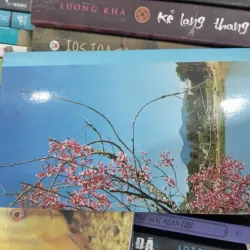 Đà Lạt LangBiang _ Võ Lệ Hồng 977240