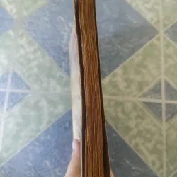 Quyền thuật Thiếu Lâm Tự - Trần Tuấn Kiệt 708648