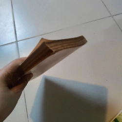 Đêm về lá rụng 477150