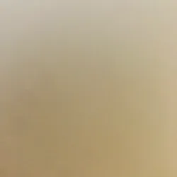 📘 TERRAINS ET PATHOLOGIE EN ACUPUNCTURE – Y. Requena 598084