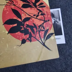 Thấy Phật - Cao Huy Thuần 973207