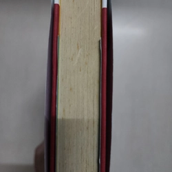 Sách Unschooled của Allan Woodrow mới 90% 508789
